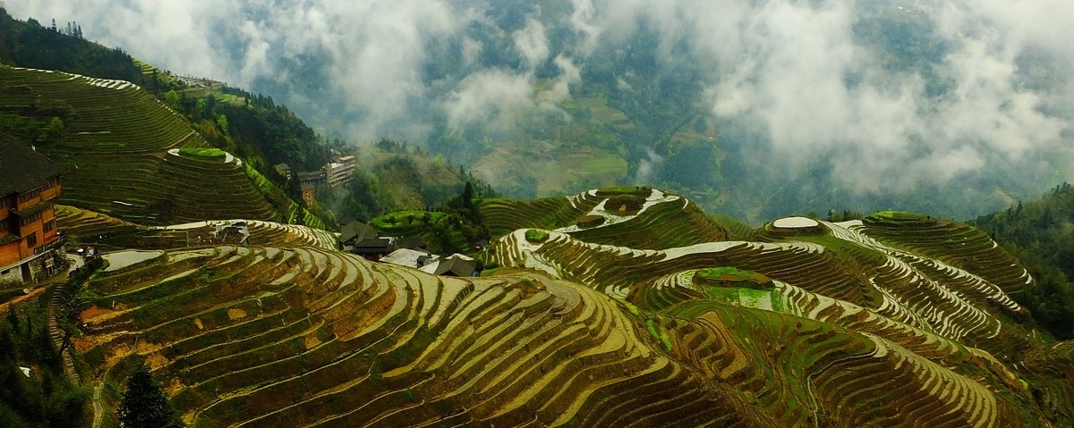记忆中的云锁龙脊梯田美景