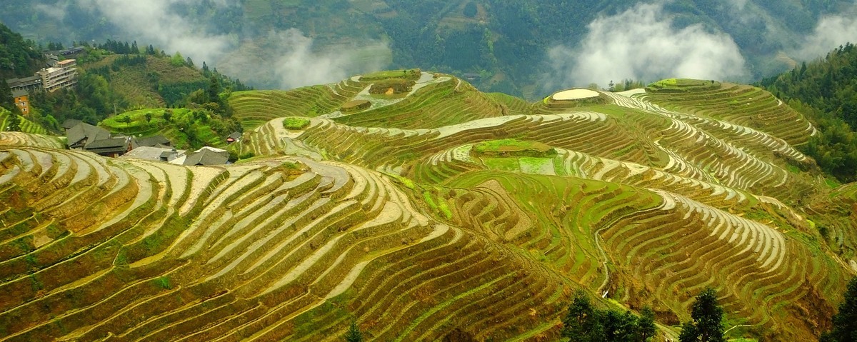 记忆中的云锁龙脊梯田美景