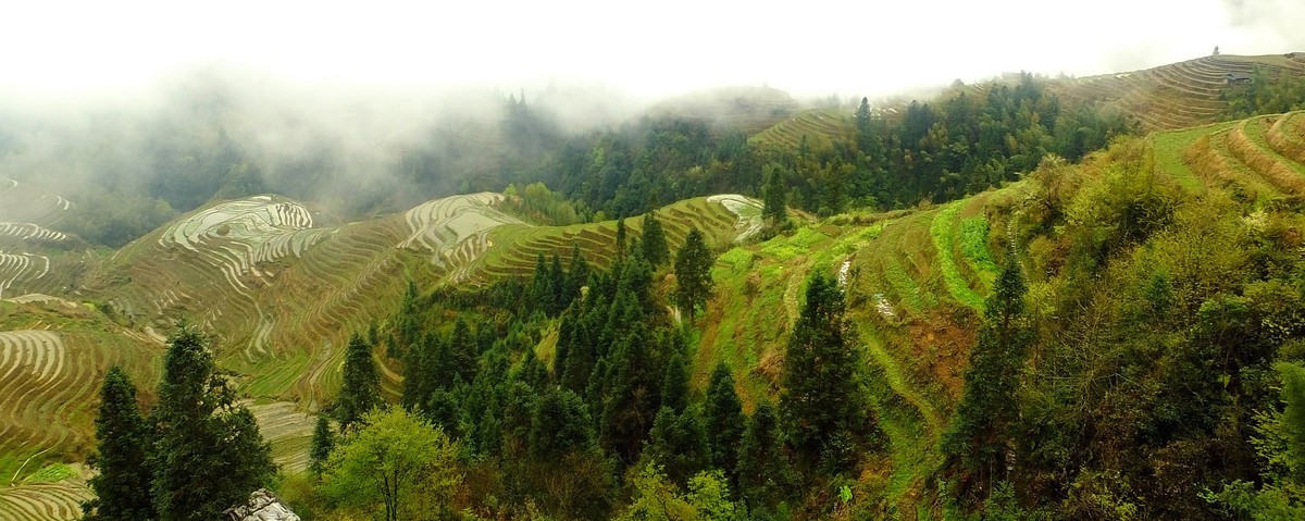 记忆中的云锁龙脊梯田美景