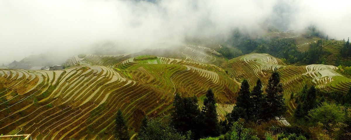 记忆中的云锁龙脊梯田美景