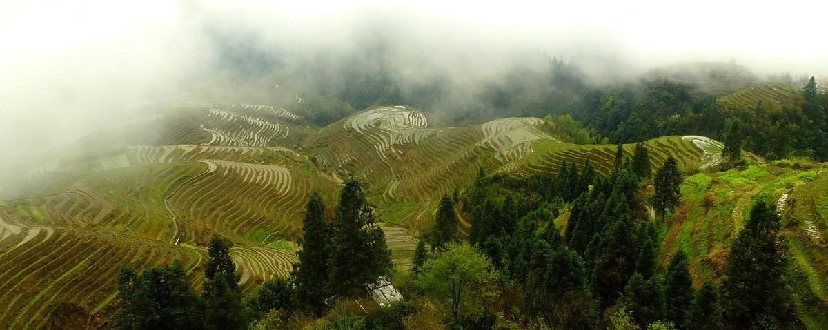 记忆中的云锁龙脊梯田美景
