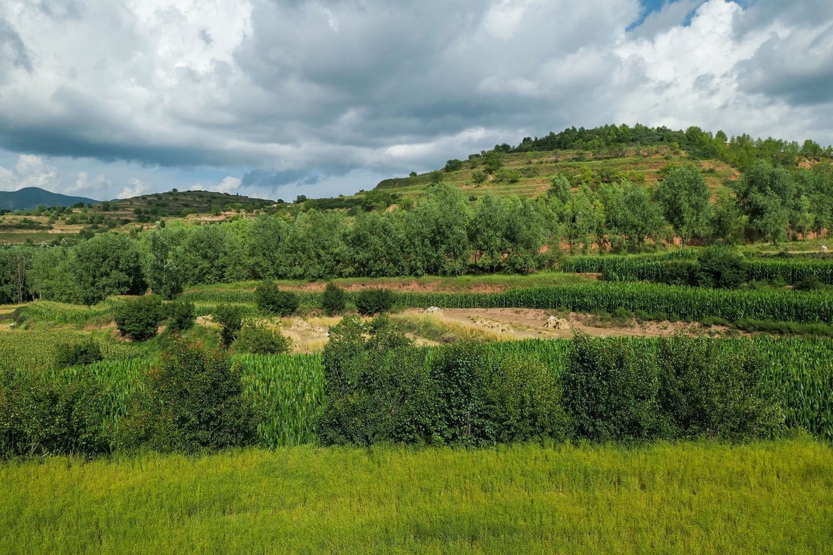 我只是把出去看到的随手记录下来（101）