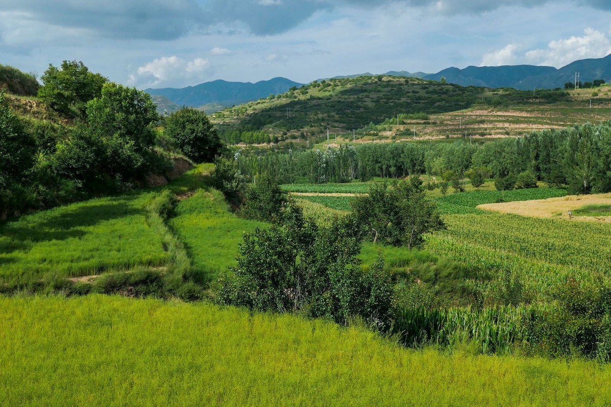 我只是把出去看到的随手记录下来（101）