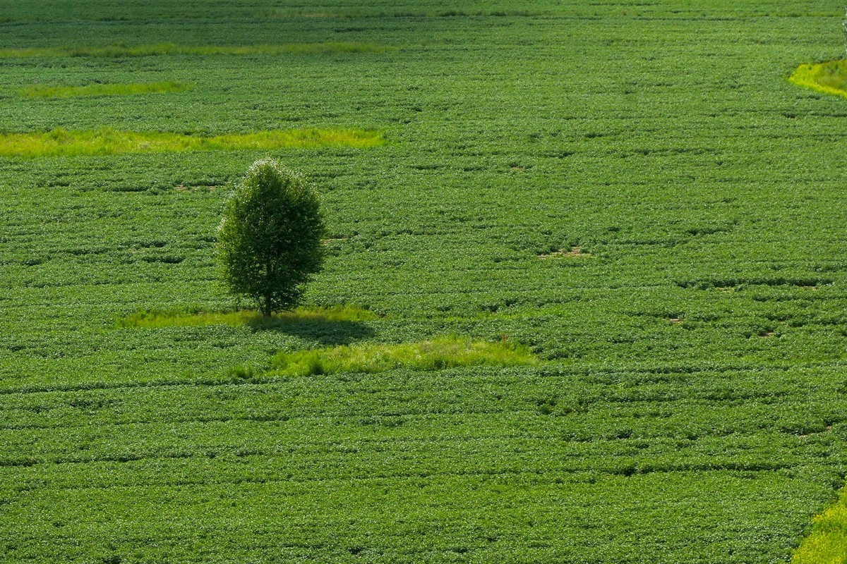 我只是把出去看到的随手记录下来（101）