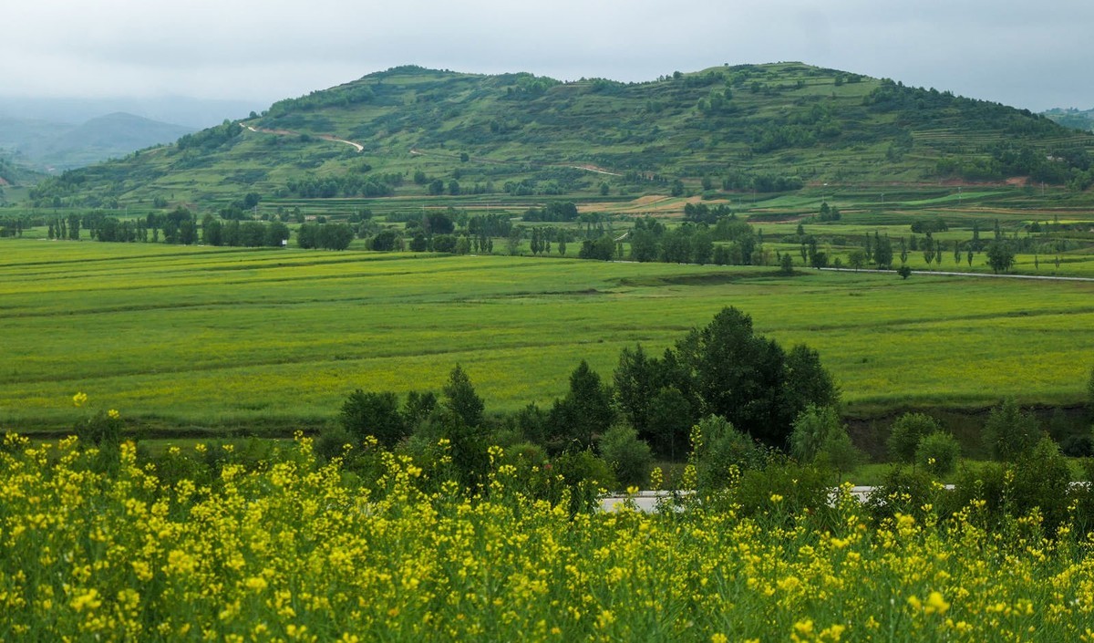 我只是把出去看到的随手记录下来（101）