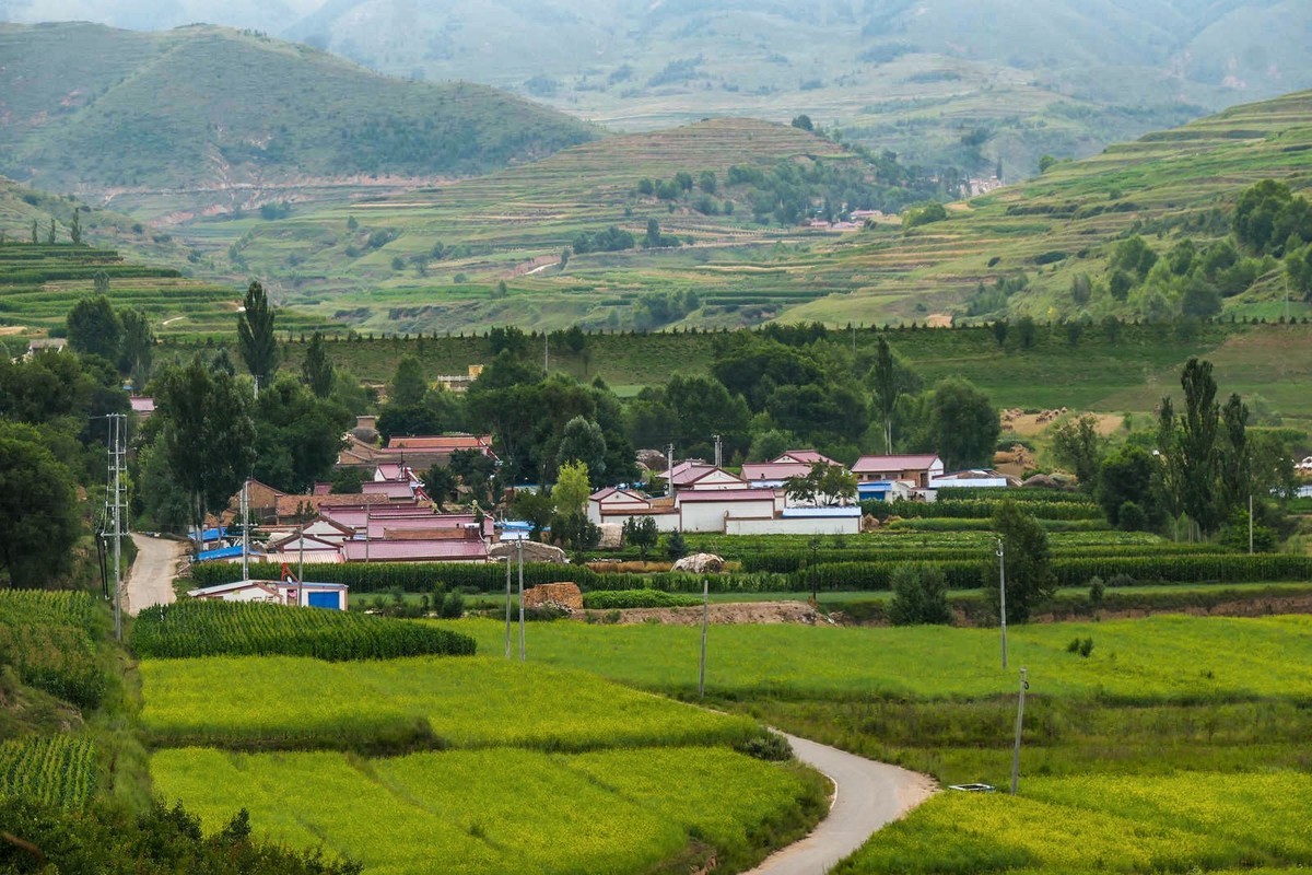 我只是把出去看到的随手记录下来（101）