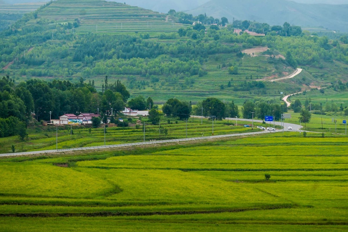 我只是把出去看到的随手记录下来（101）