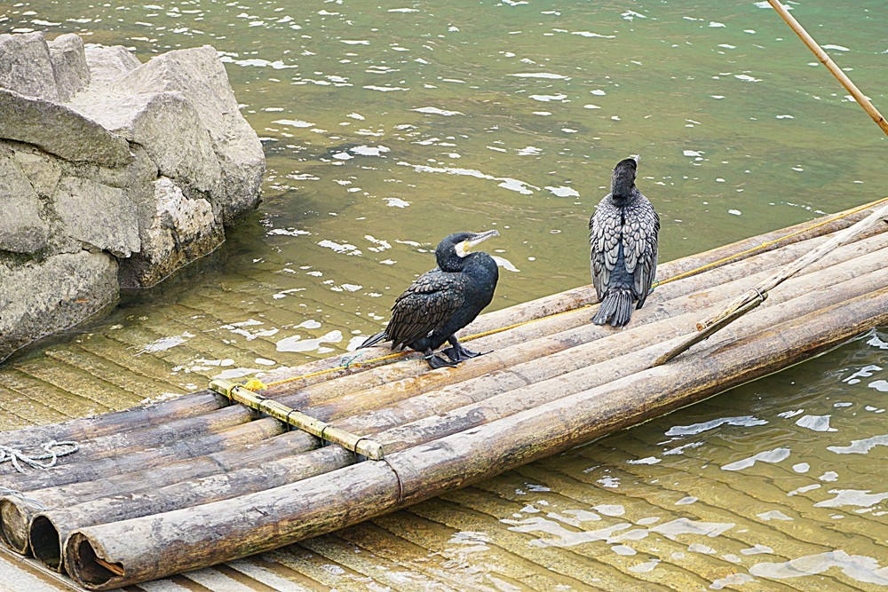 龙虎山景区  桃花洲（二）