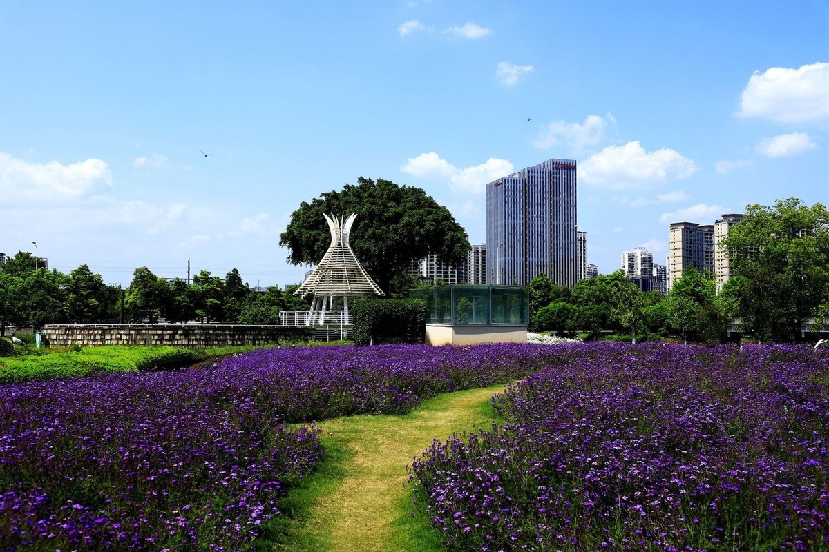 世纪公园 (3)