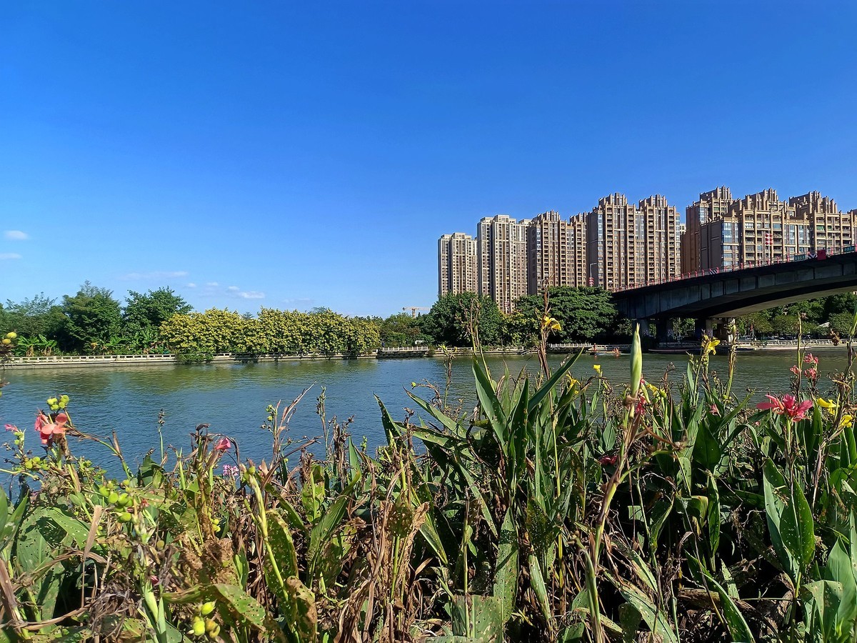 龙舟文化公园（续）