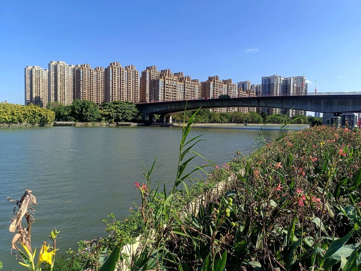 龙舟文化公园（续）