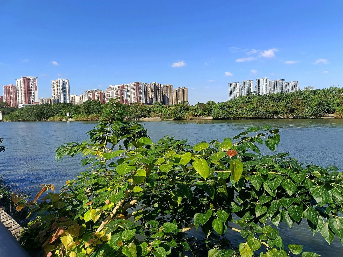 龙舟文化公园（续）