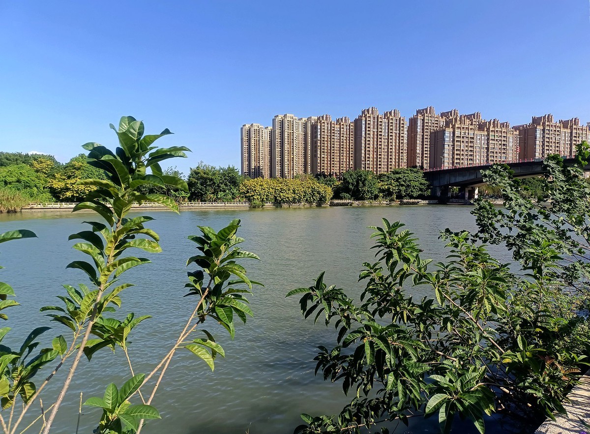 龙舟文化公园（续）