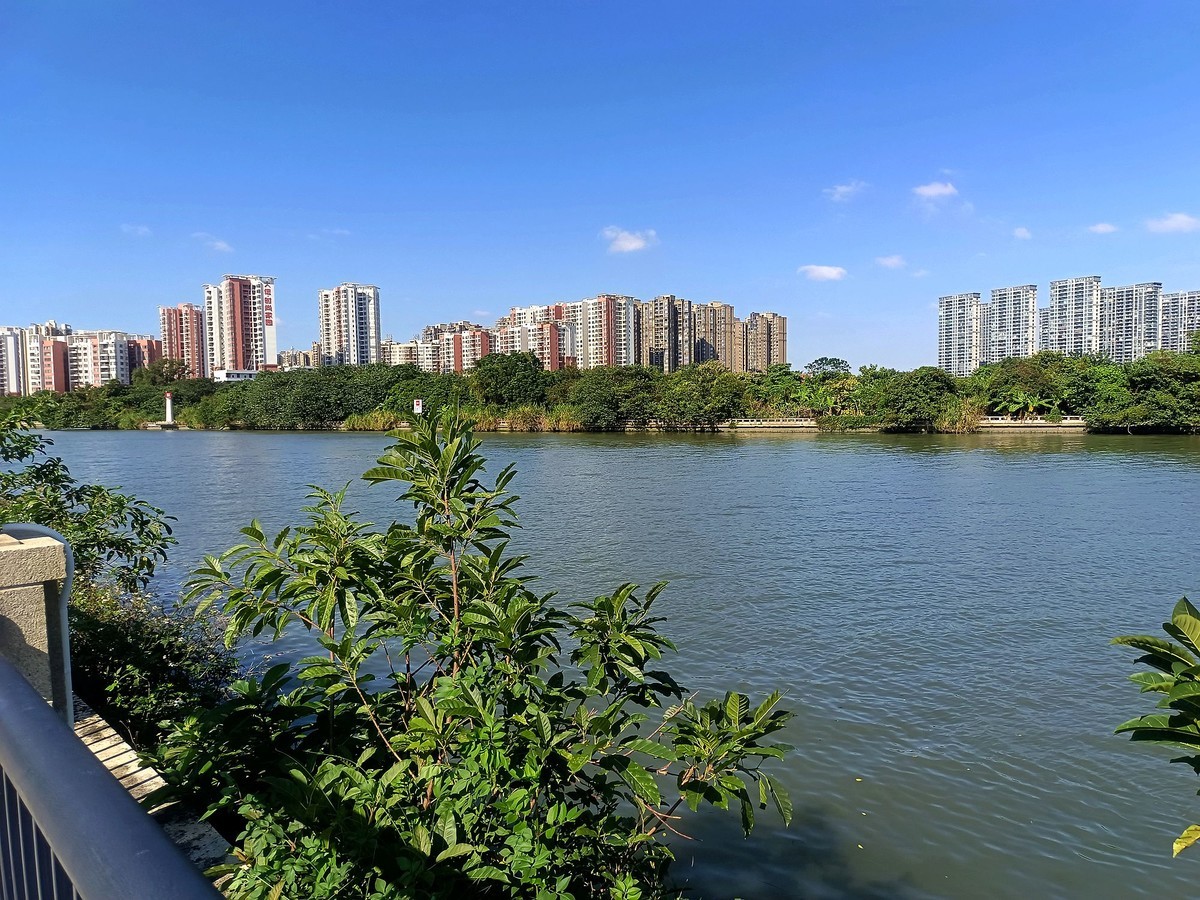 龙舟文化公园（续）