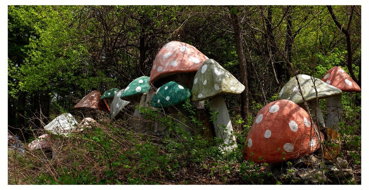 假日 . 青云山游记