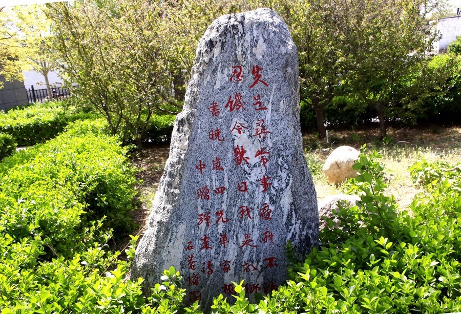 《不老松：纪实摄影》河北沧州市献县：单（善音）桥！ (8)