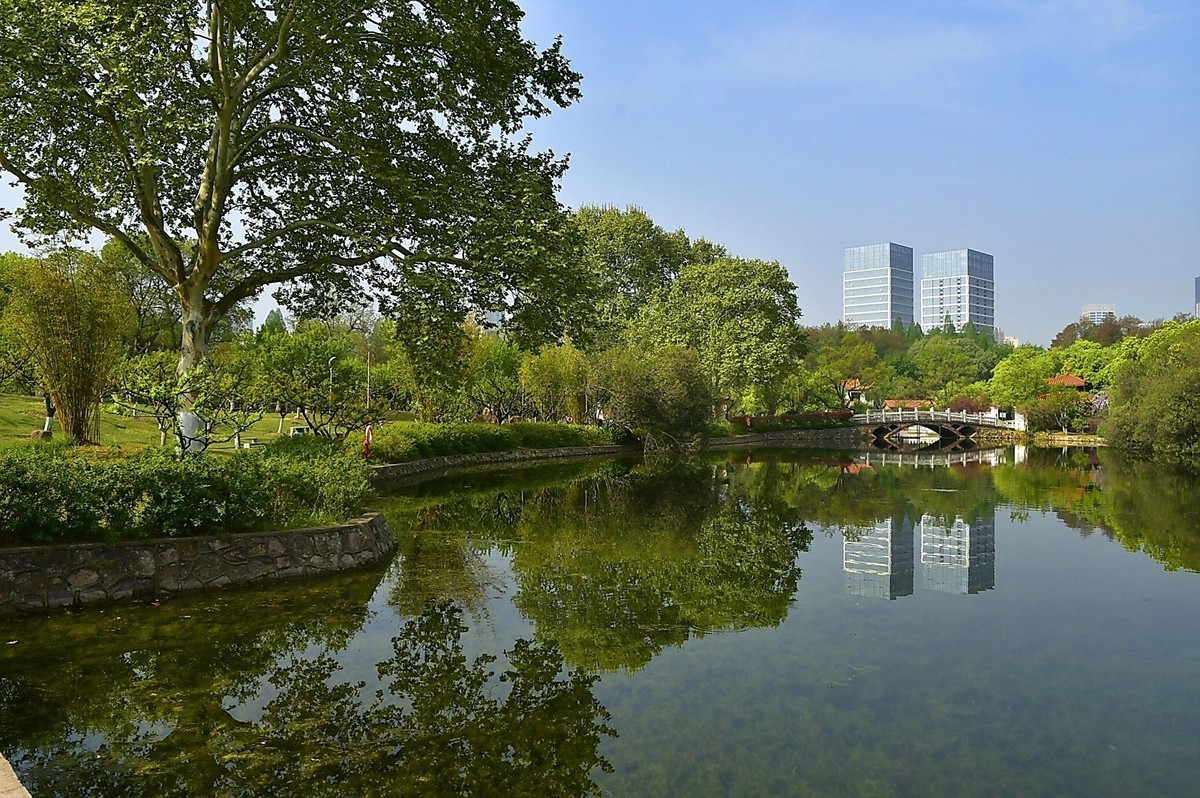 青山公园