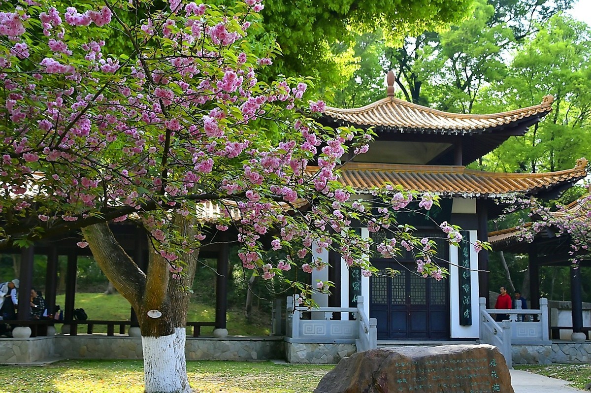 青山公园