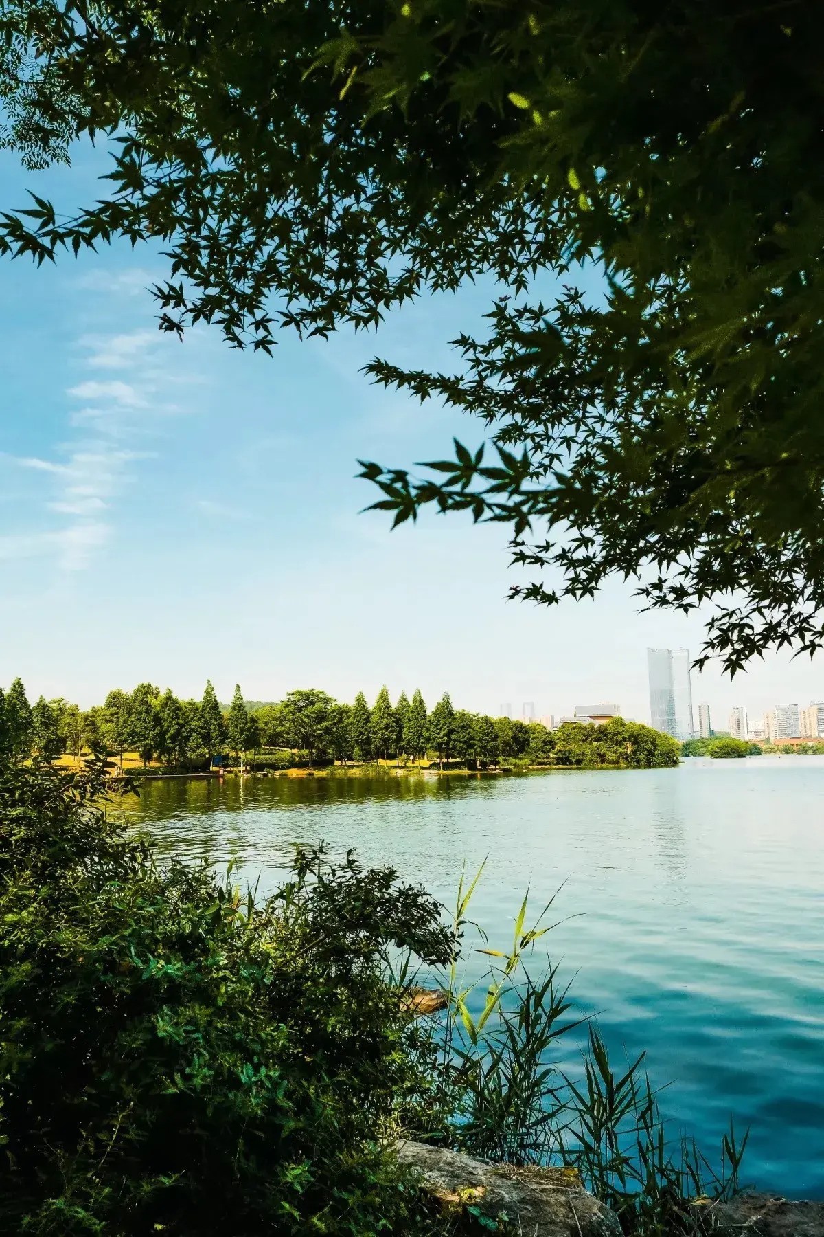 长沙西湖公园风光剪影-中关村在线摄影论坛