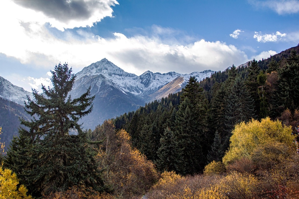 金秋川西行摄【3】