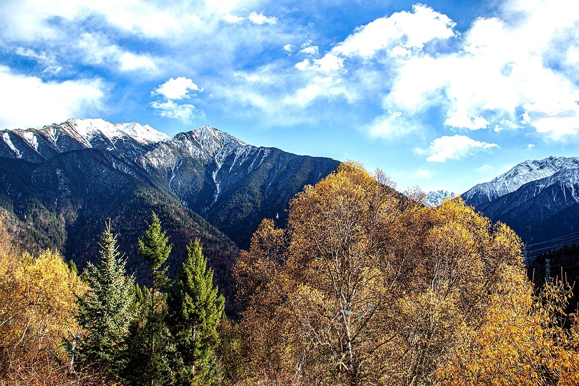 金秋川西行摄【3】