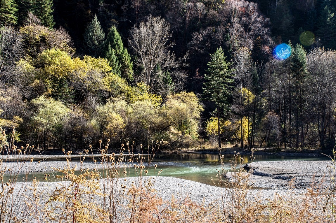 #遇见最美秋叶#川西--丹巴--藏区秋色【5】