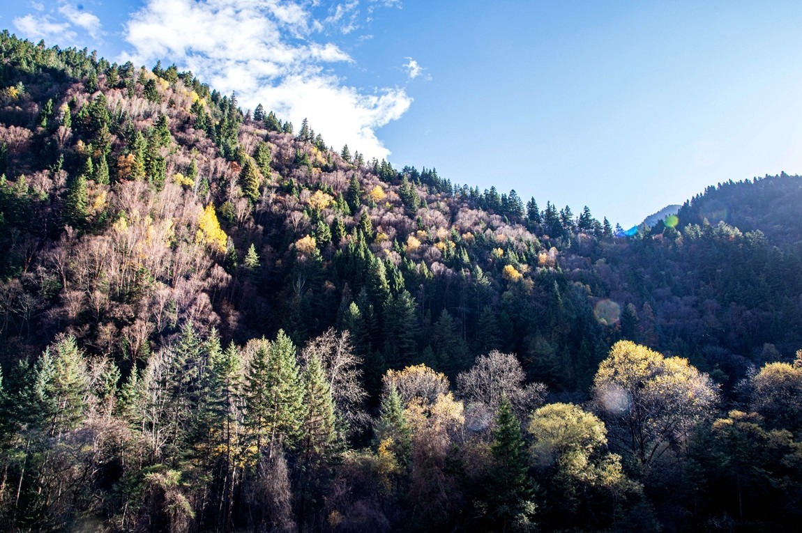 #遇见最美秋叶#川西--丹巴--藏区秋色【5】