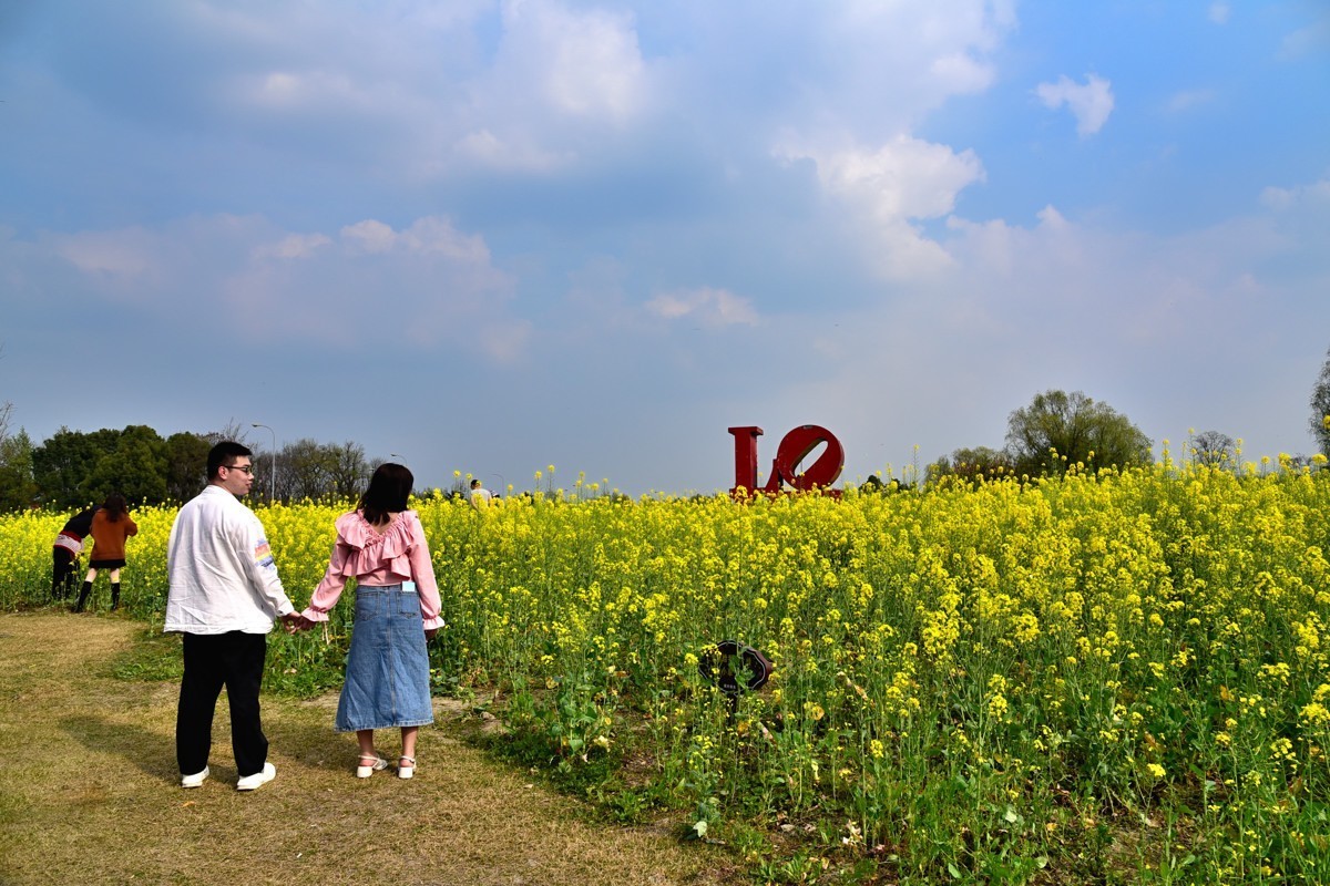 春回大地  油菜花开（三）