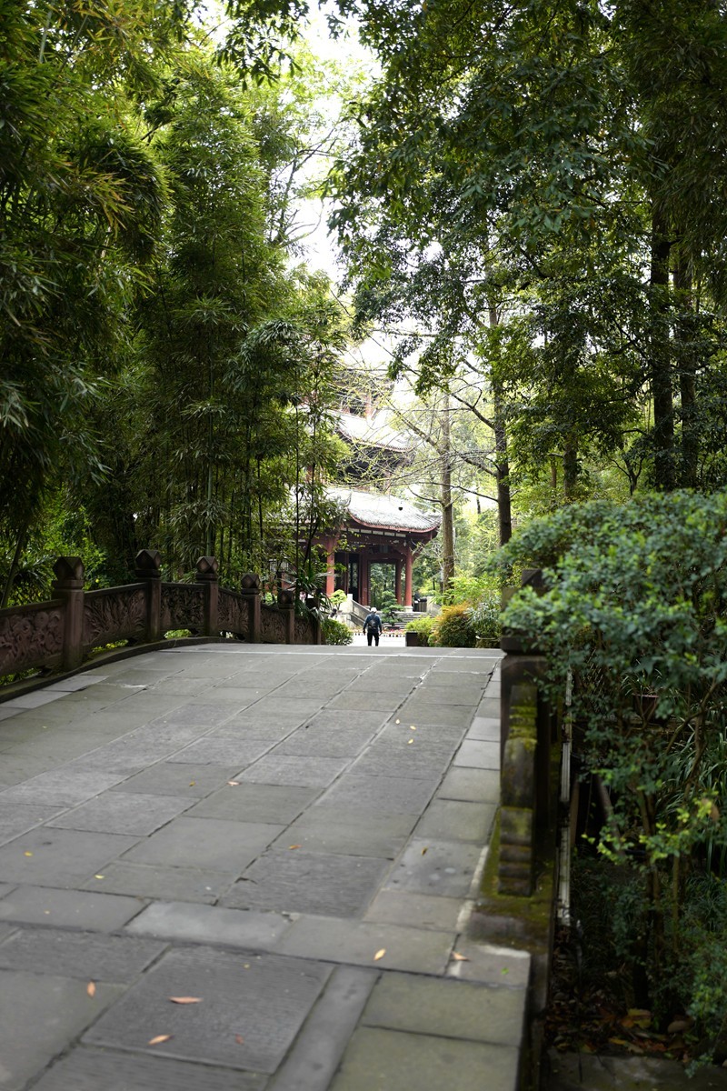 成都之行——杜莆草堂随拍（2）