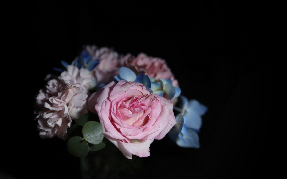 天气不好拍拍插花