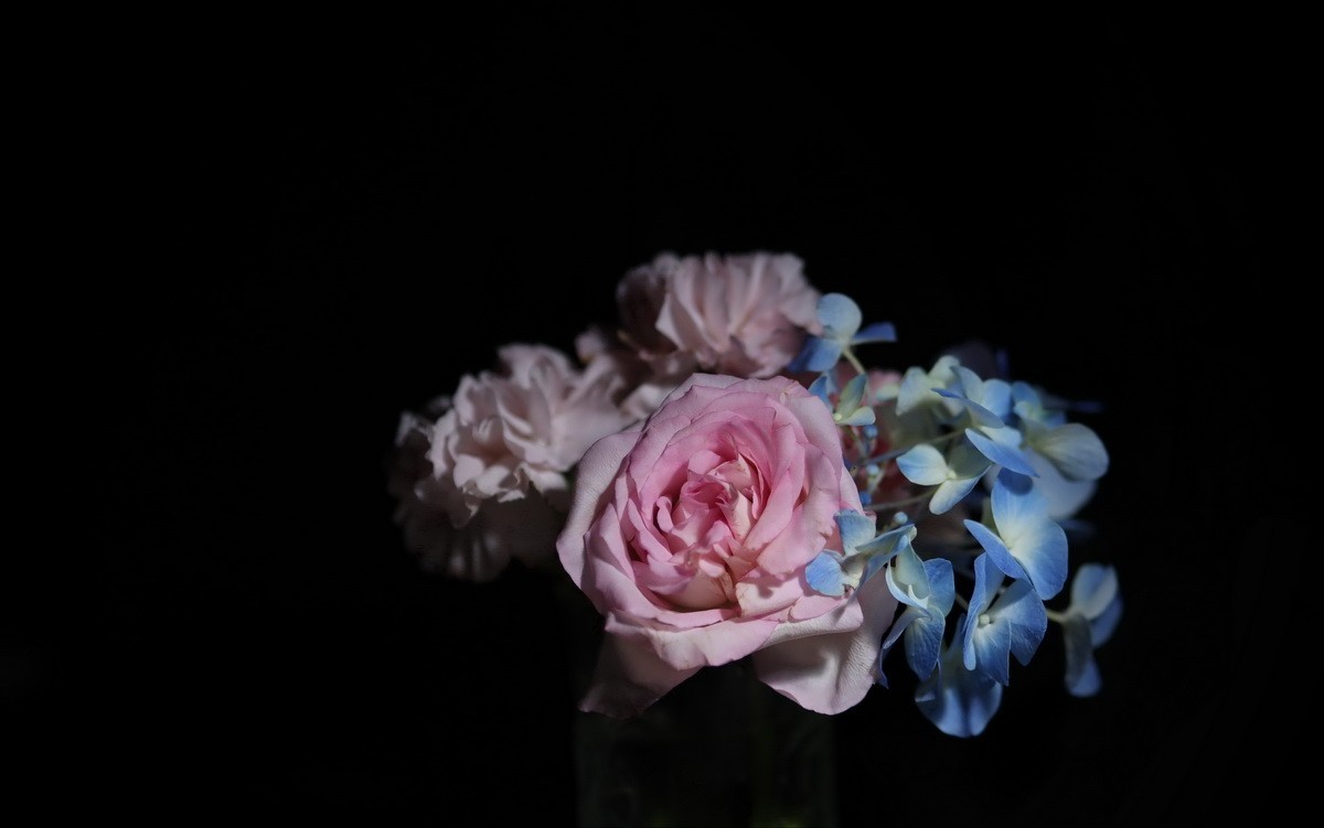 天气不好拍拍插花