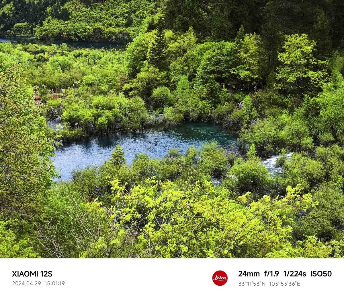四川.....................九寨沟【续完】