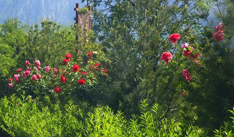 《不老松：纪实摄影》【大好河山系列报導】邯郸游摄！寻找掛壁公路！！ (12)道路狭窄