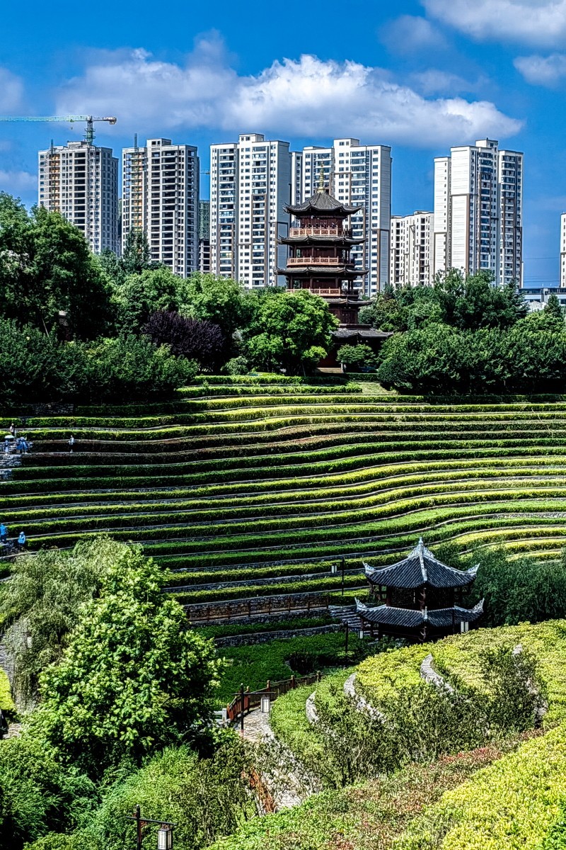 外出随拍（续150）.