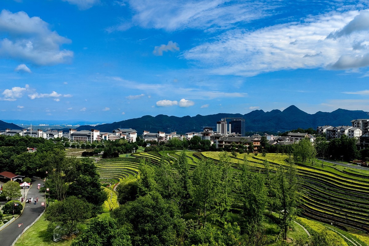 外出随拍（续150）.