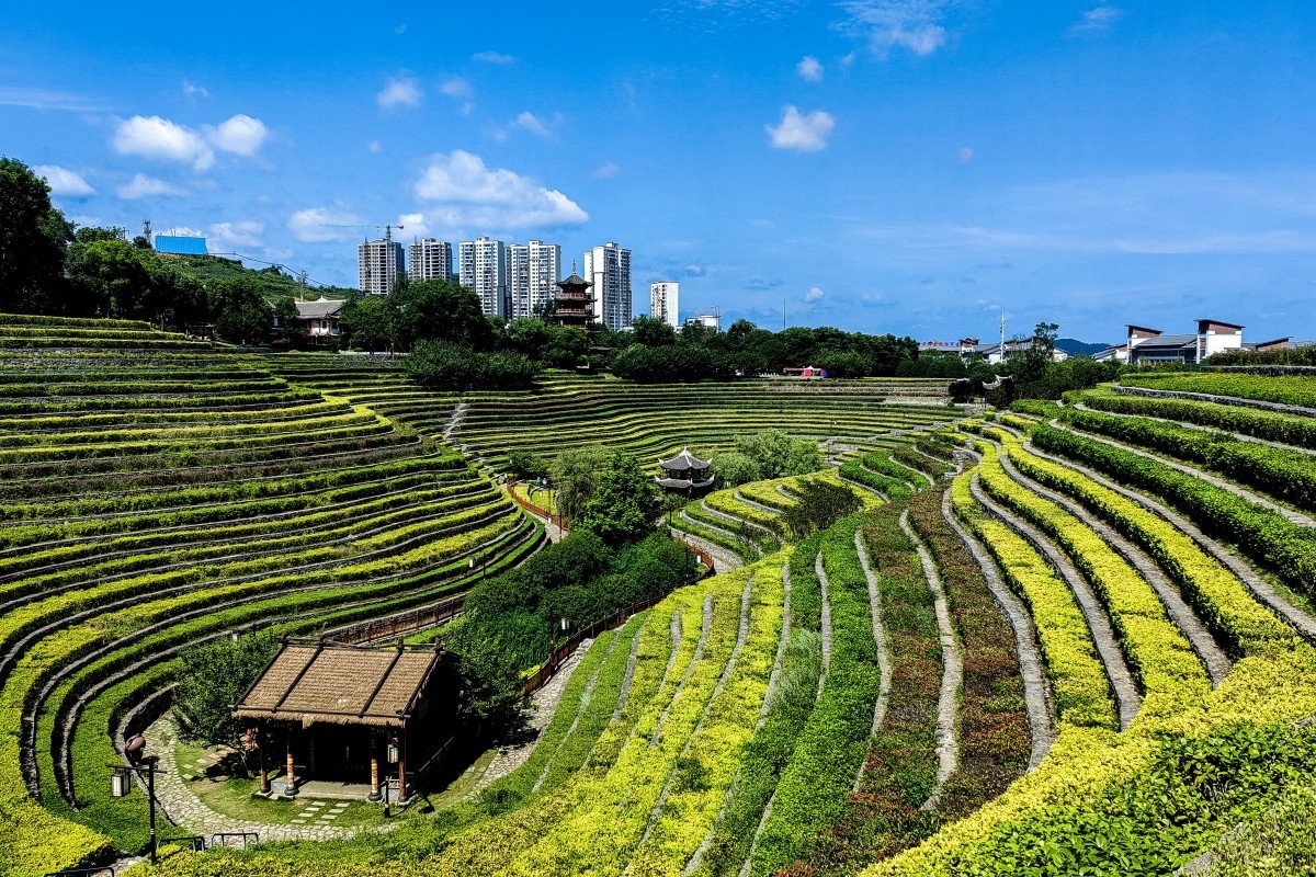 外出随拍（续150）.