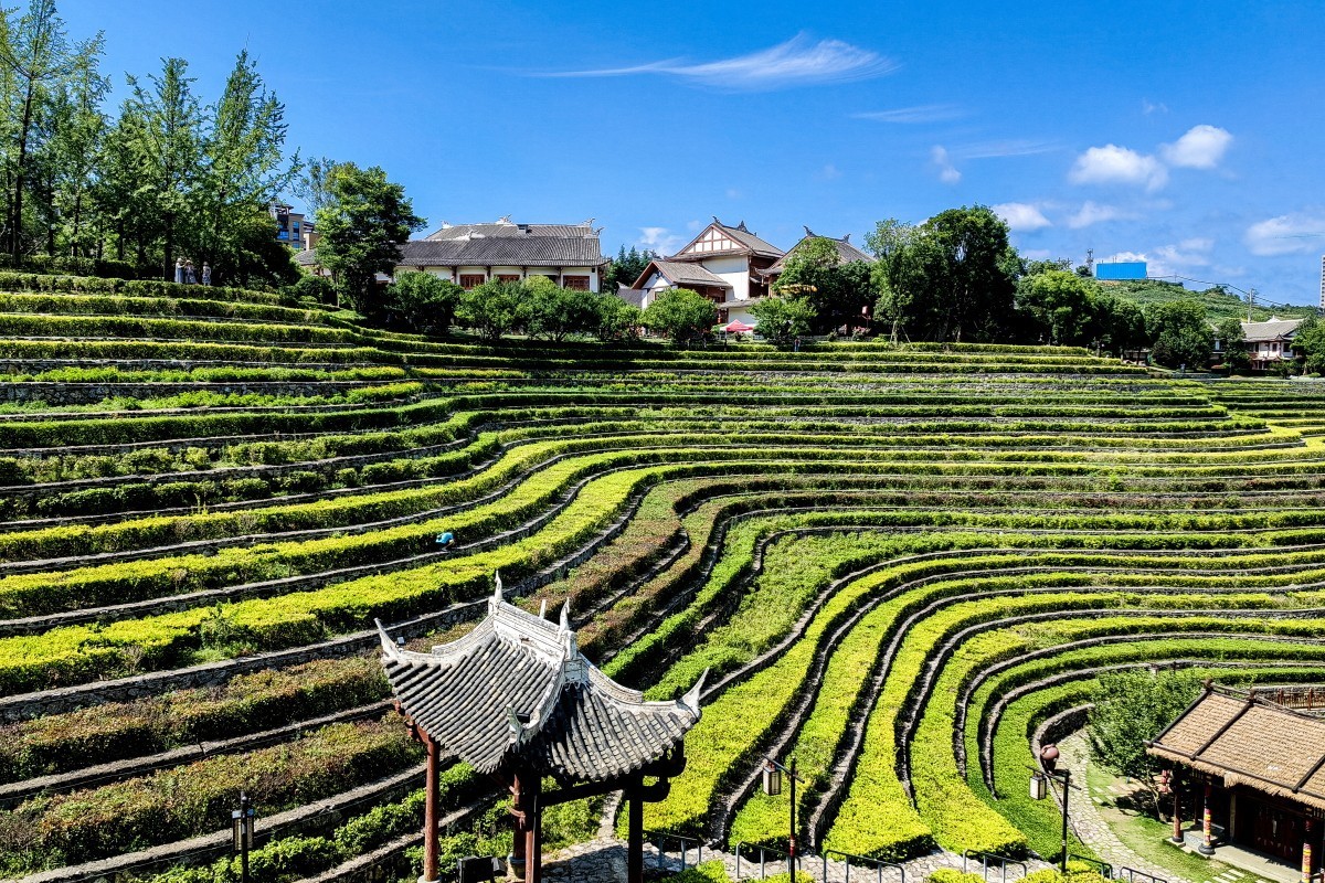 外出随拍（续150）.