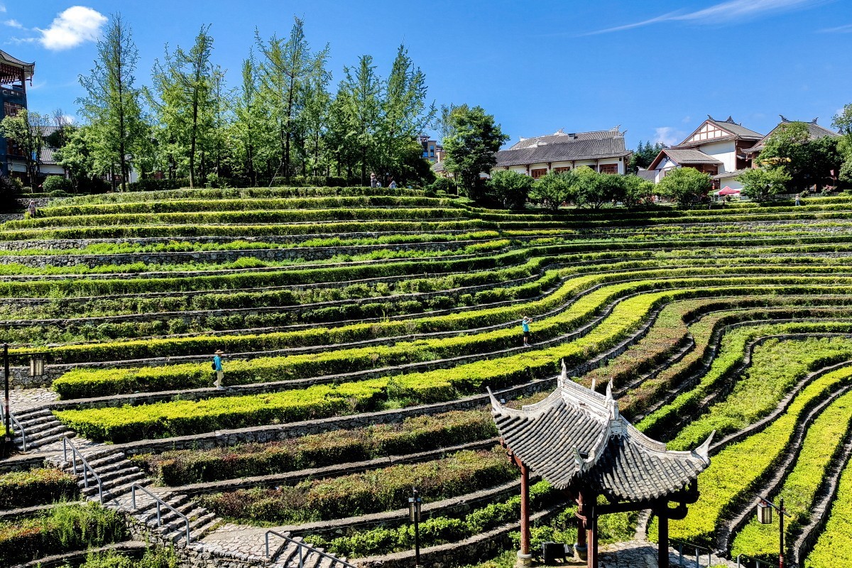 外出随拍（续150）.