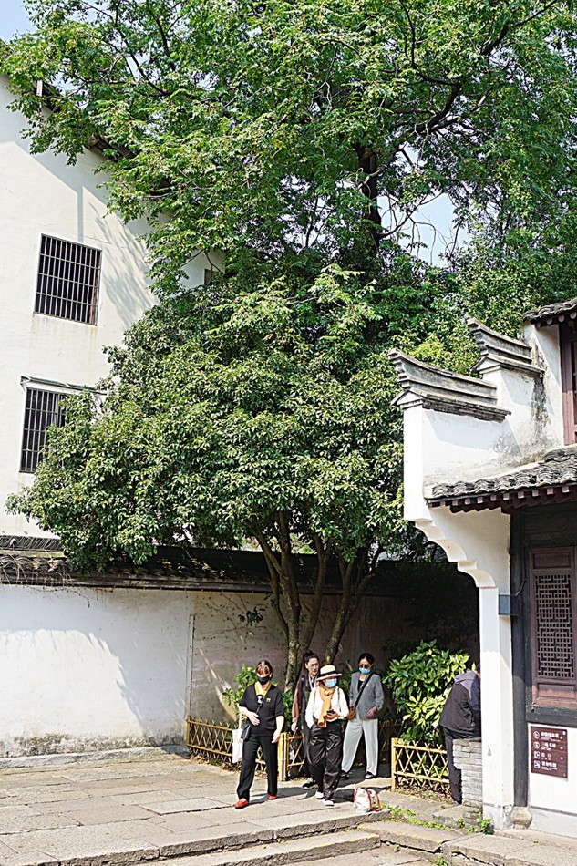 绍兴 鲁迅故里 — 三味书屋和百草园（二）