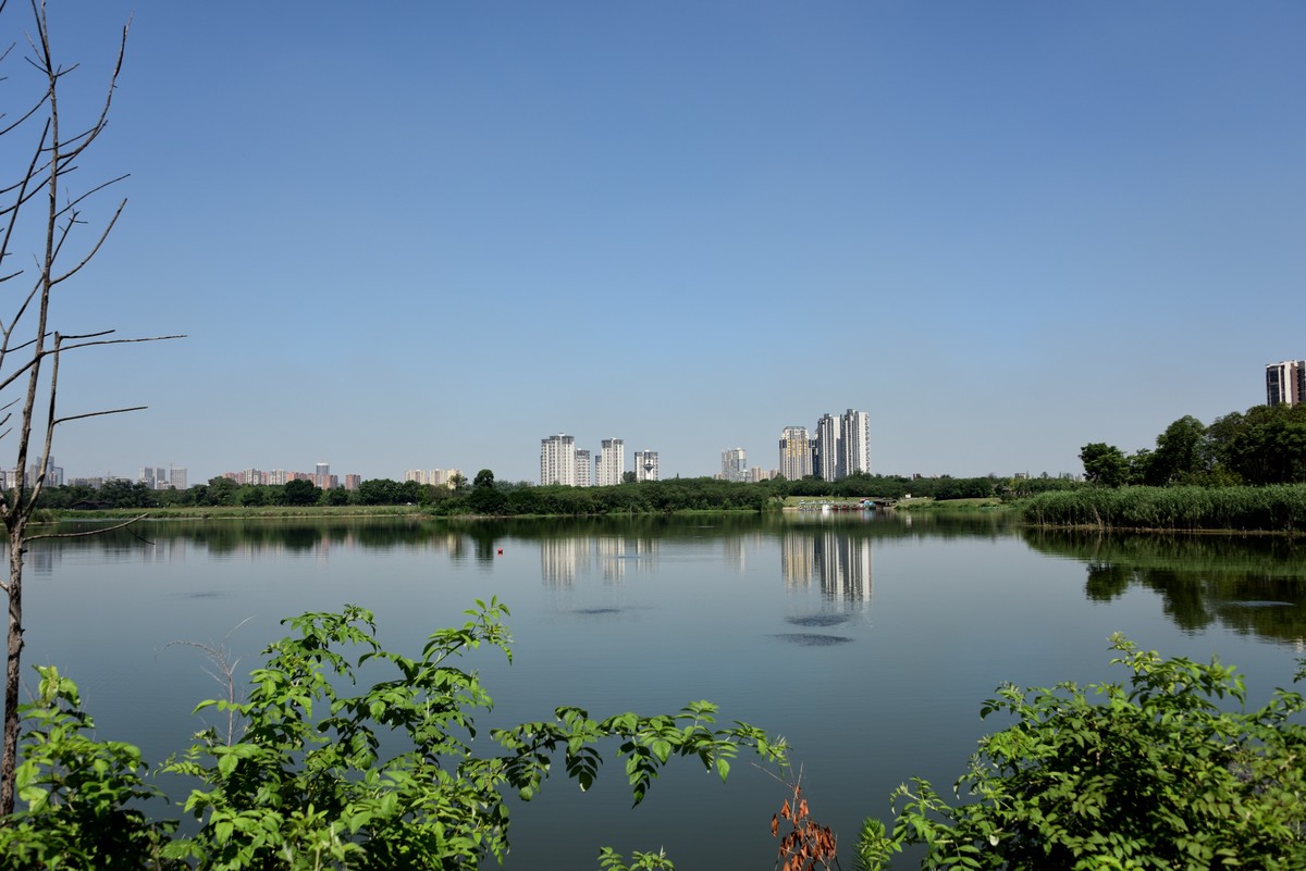西充青龙湖湿地公园图片