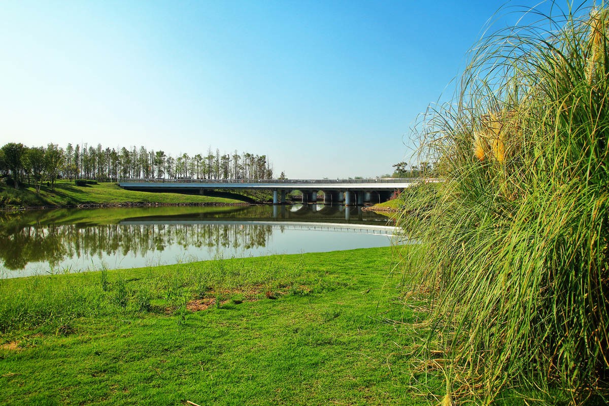 重庆明月湖湿地公园图片
