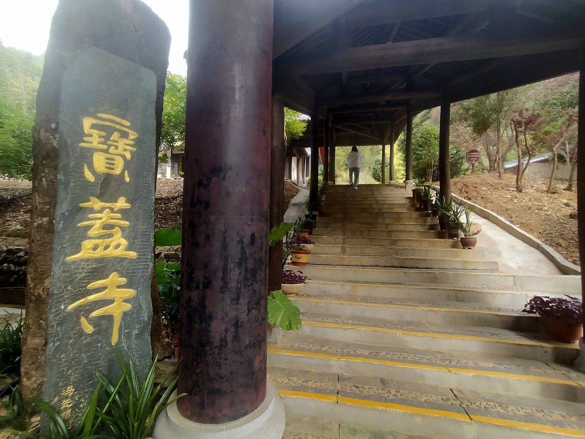 漫步星城 走街串巷（328）义工是菩萨行者