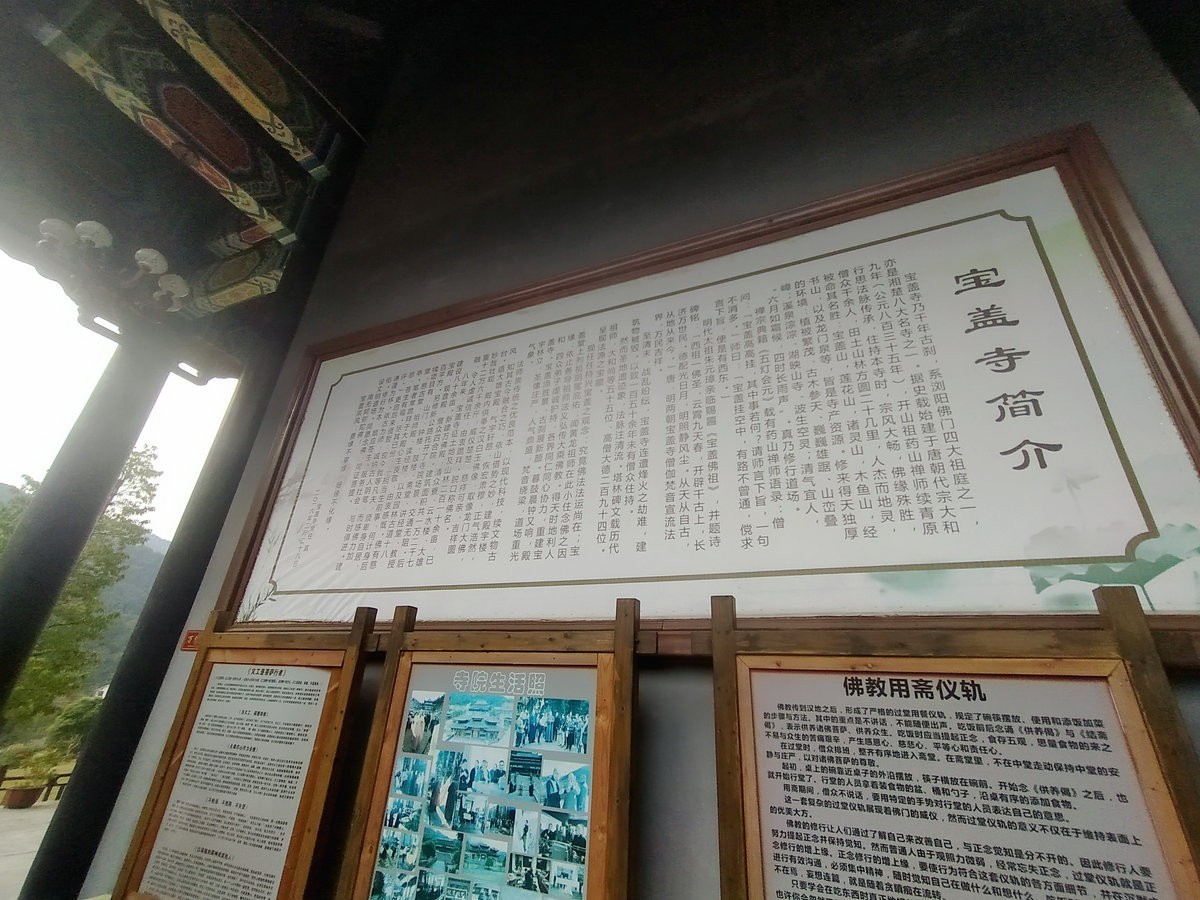 漫步星城 走街串巷（328）义工是菩萨行者