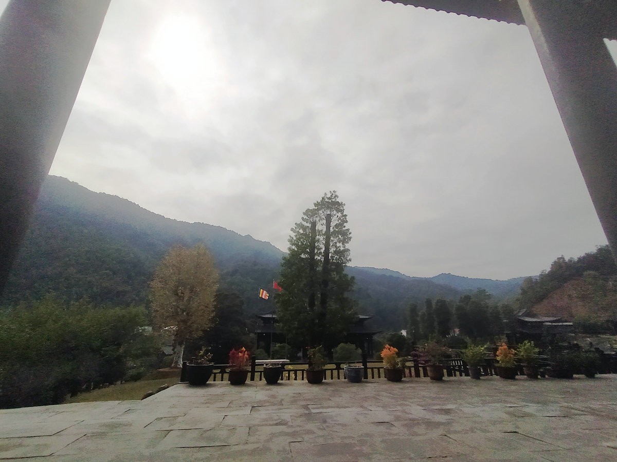 漫步星城 走街串巷（328）义工是菩萨行者