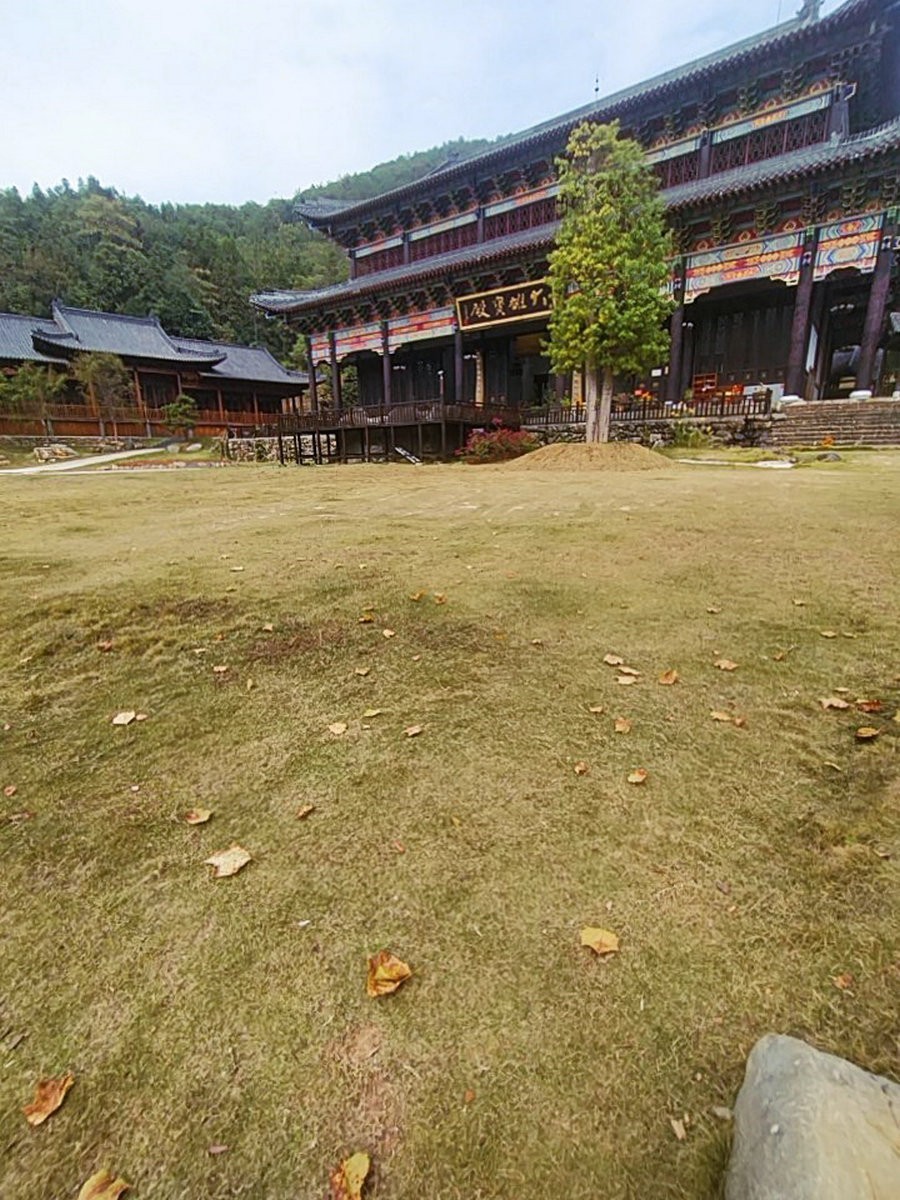 漫步星城 走街串巷（328）义工是菩萨行者