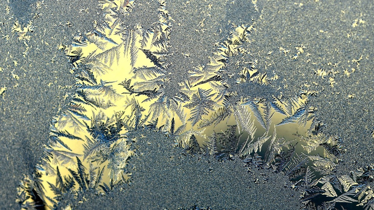 漂亮的霜花-中关村在线摄影论坛