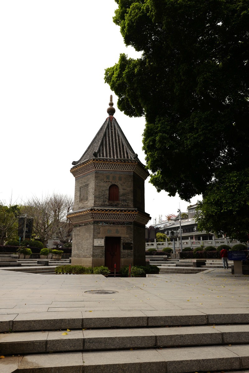 荔湾湖公园随拍（3.15）（14）