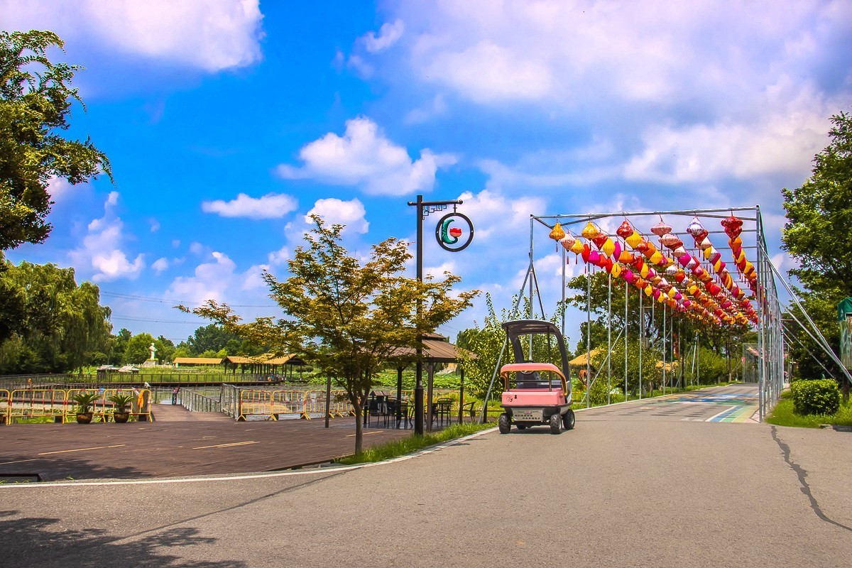 2023-08-26南京西埂莲乡（十三）