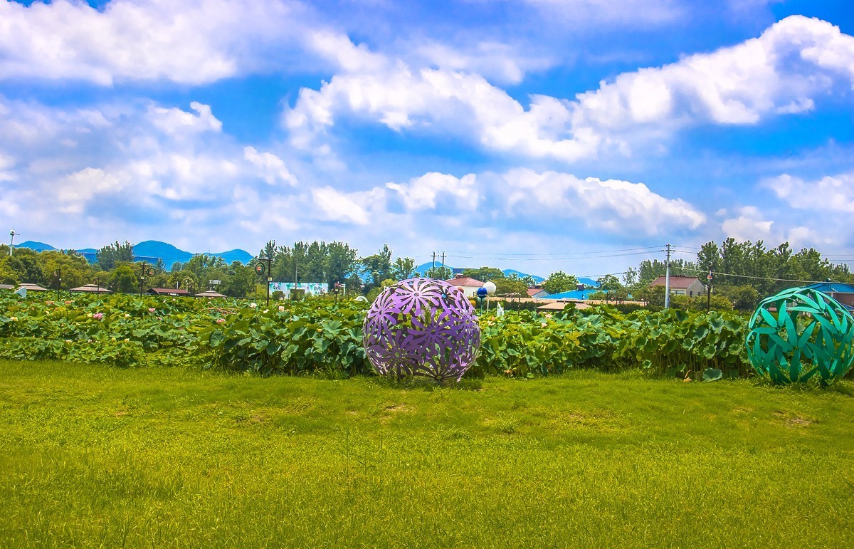 2023-08-26南京西埂莲乡（十三）