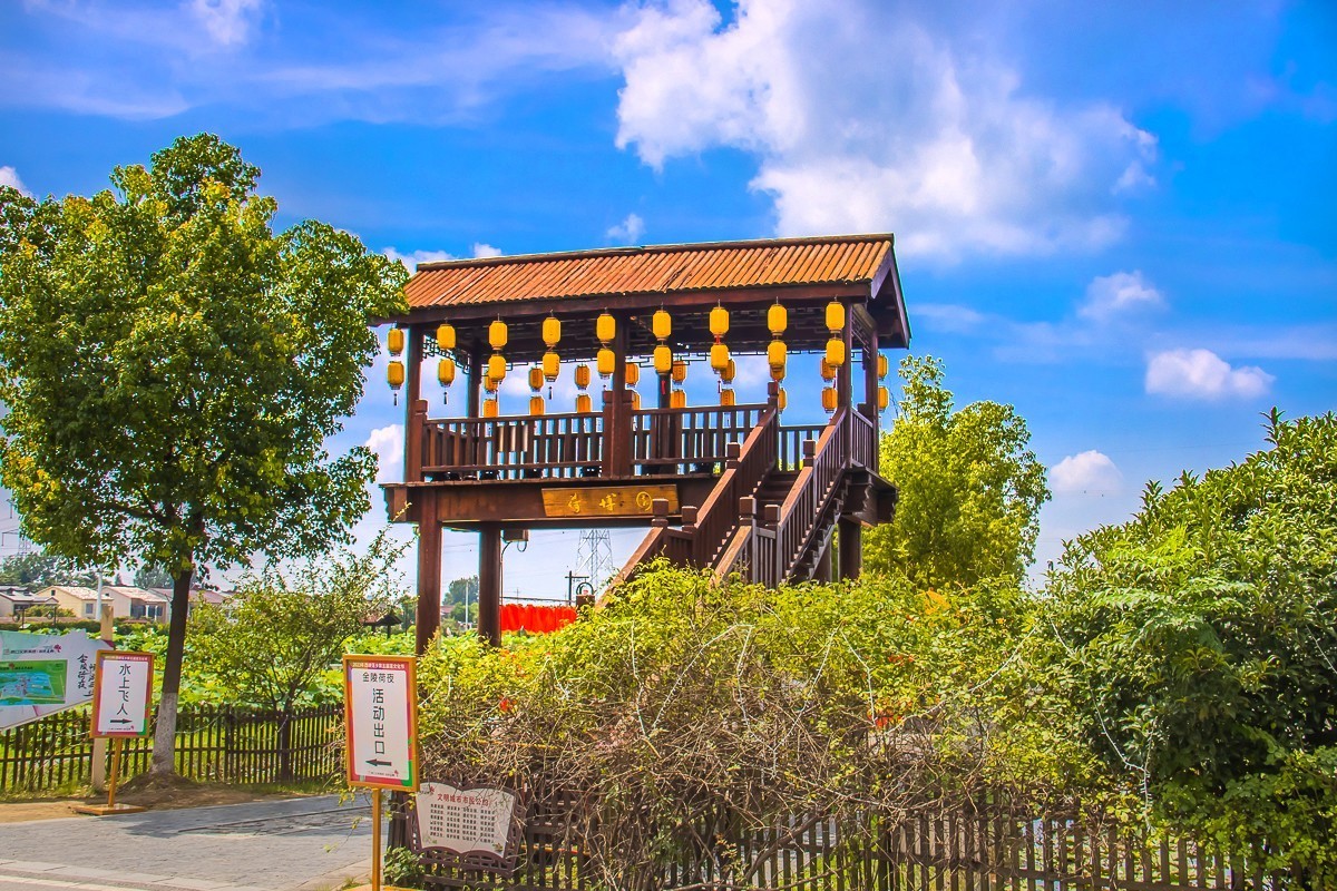 2023-08-26南京西埂莲乡（十三）